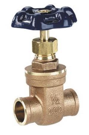 Wgvs 2 2 wgvs swt gate watts valve/regulator