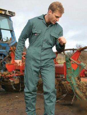 Dickies redhawk economy stud front coverall,royal xl