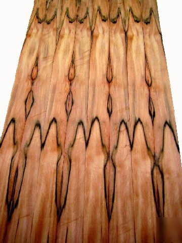 Veneer mix burl figured 10 species precious solid wood