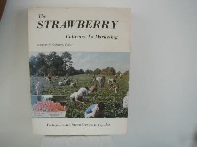 The strawberry cultivars to marketing, norman childers