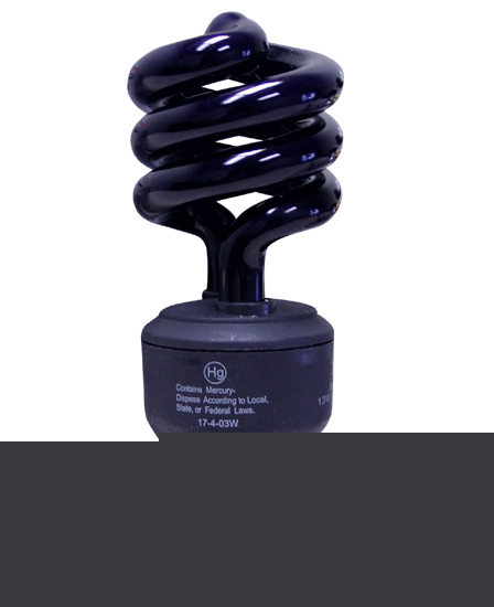 13 watt black light fluorescent energy saving bulb