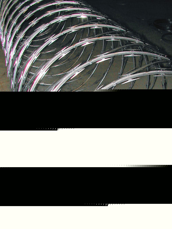 Razor wire, with clips, 24
