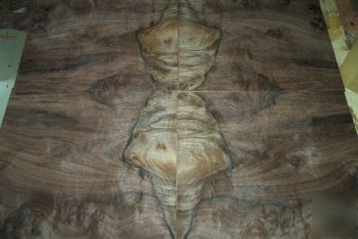 Walnut burl veneer 17 @ 14'' x 18'' [0859]