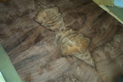 Walnut burl veneer 17 @ 14'' x 18'' [0859]