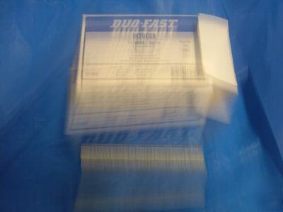 Senco,hitachi,bostitch 5/8IN. leg staples 5,000 box 